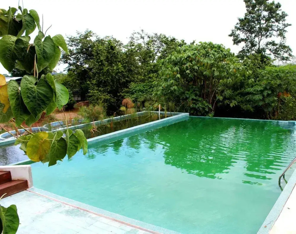 Winíka Alterra