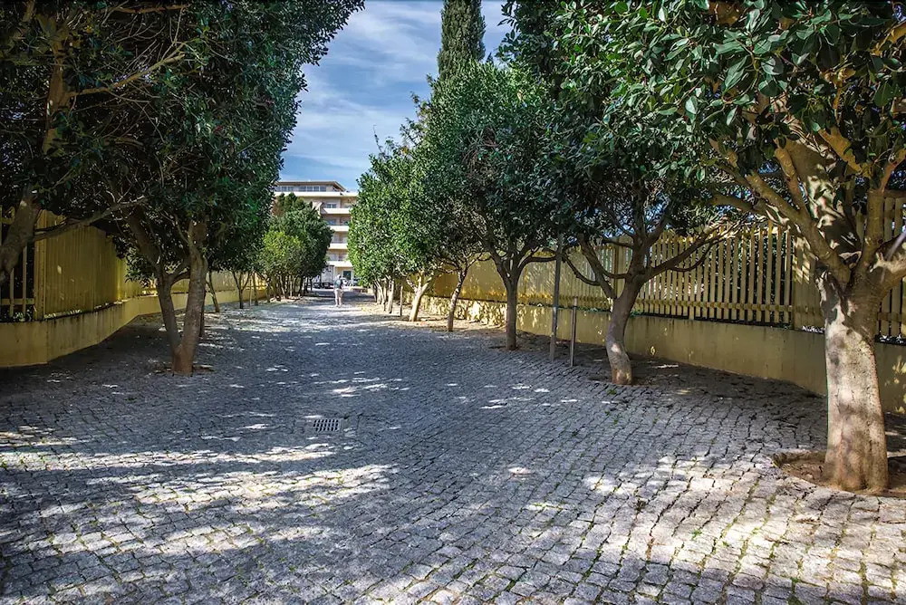 Quinta de Barracuda