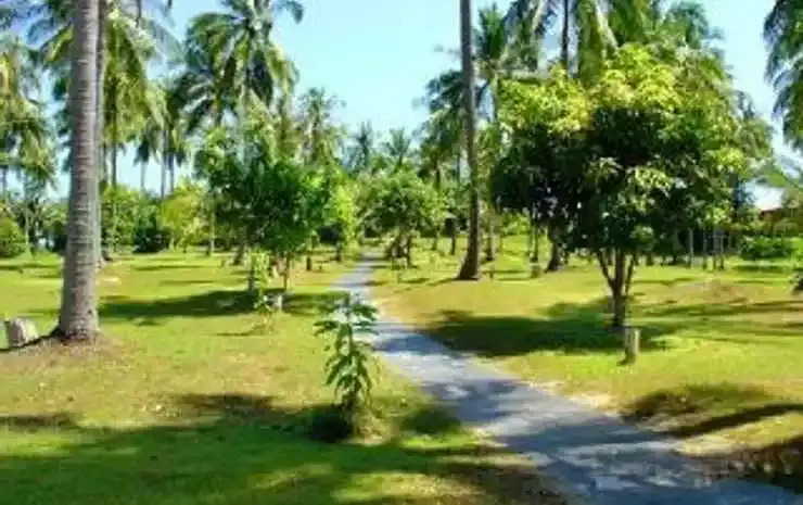 Andaman Cove Condos