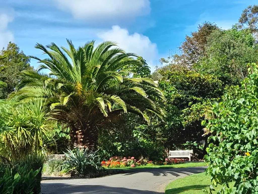 Modern 2 Bed Apt Centre of Penzance, Lift Access