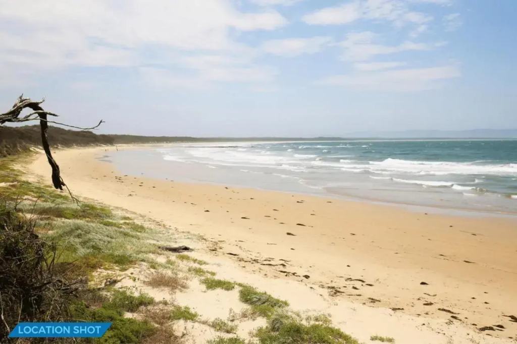 The Crescent at Currarong I Pet Friendly Beachfront