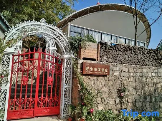Song Wild Luxury Tent Homestay