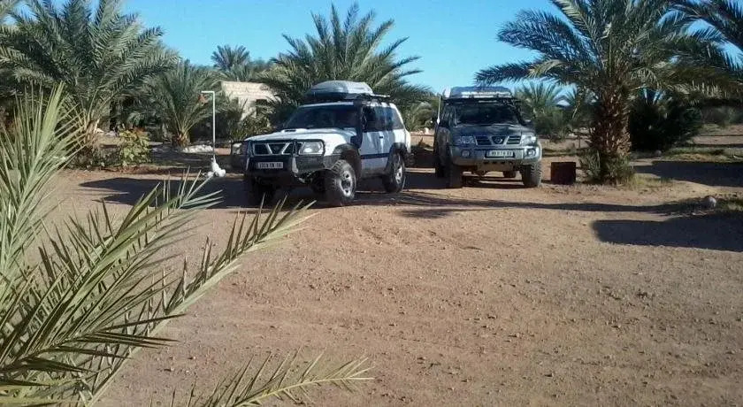Camping Les Palmeraies - Oasis Escape Tagounite
