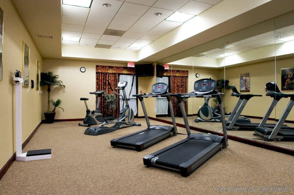 Holiday Inn Express & Suites Irving Conv Ctr - Las Colinas by IHG