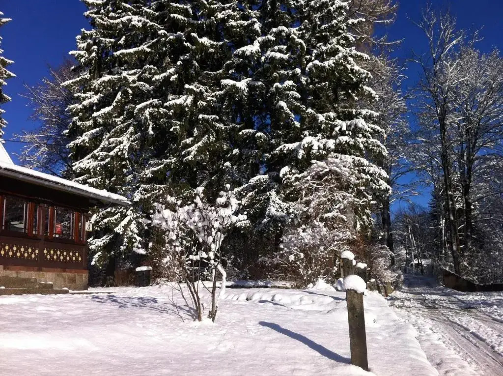 WERANDA z widokiem na Karkonosze