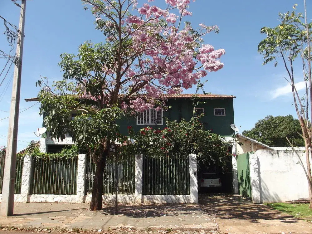 Green House Hostel