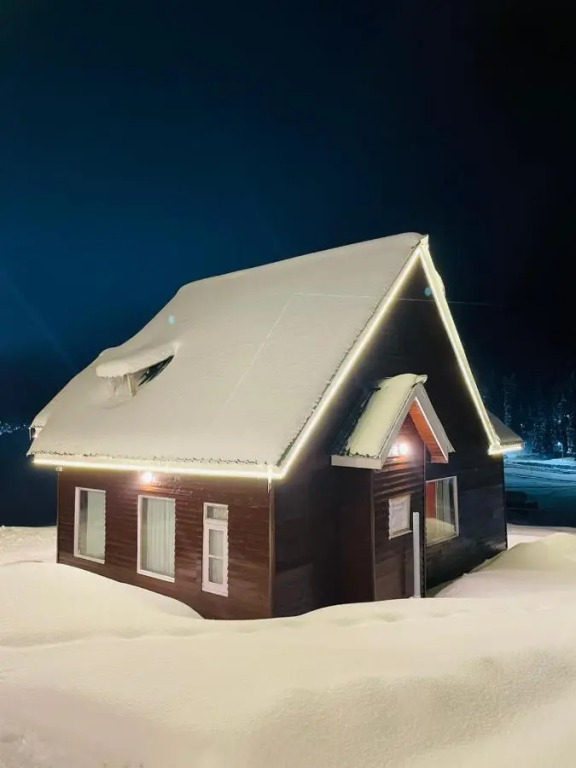 Gulmarg Woods by Stay Pattern