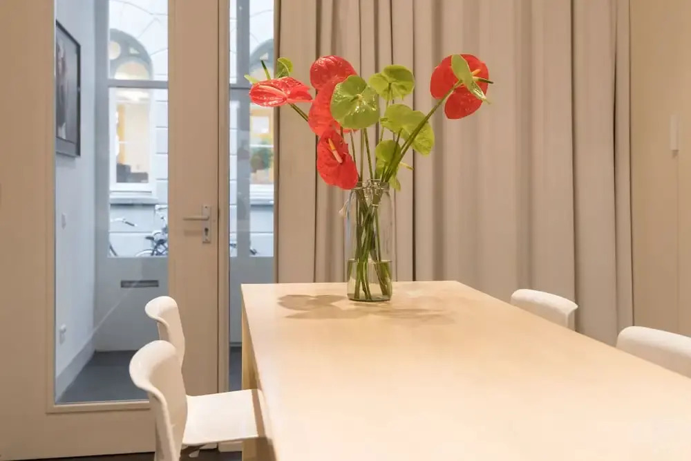 White Room Apartment