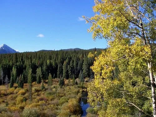 Silverthorne Townhome Nightly Rentals