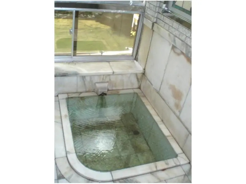 Shin-matsuba Ryokan