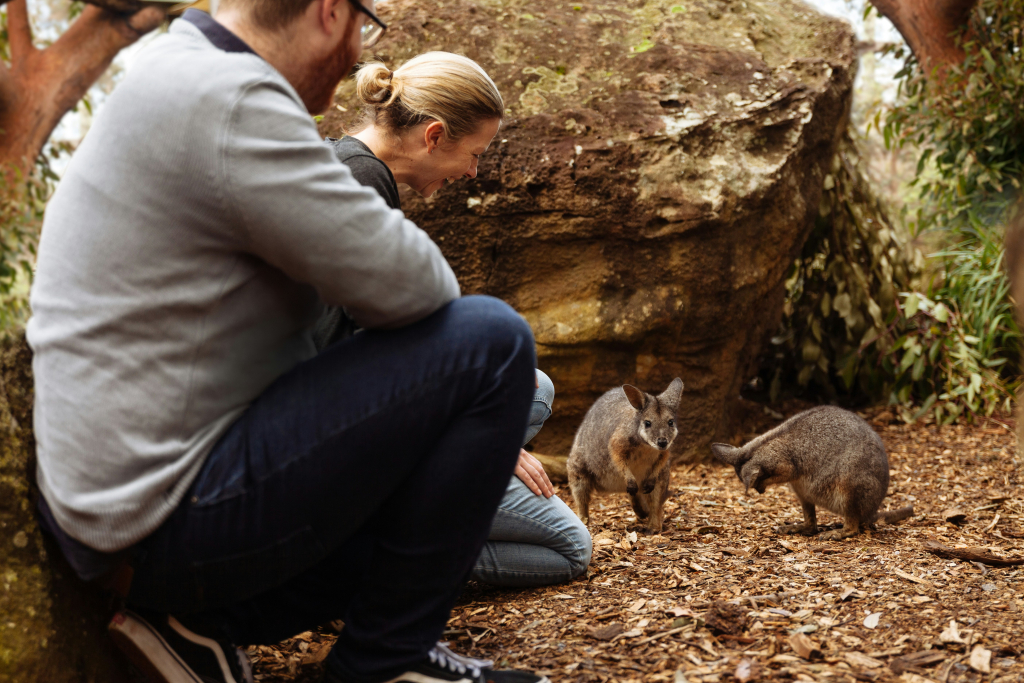 Wildlife Retreat at Taronga