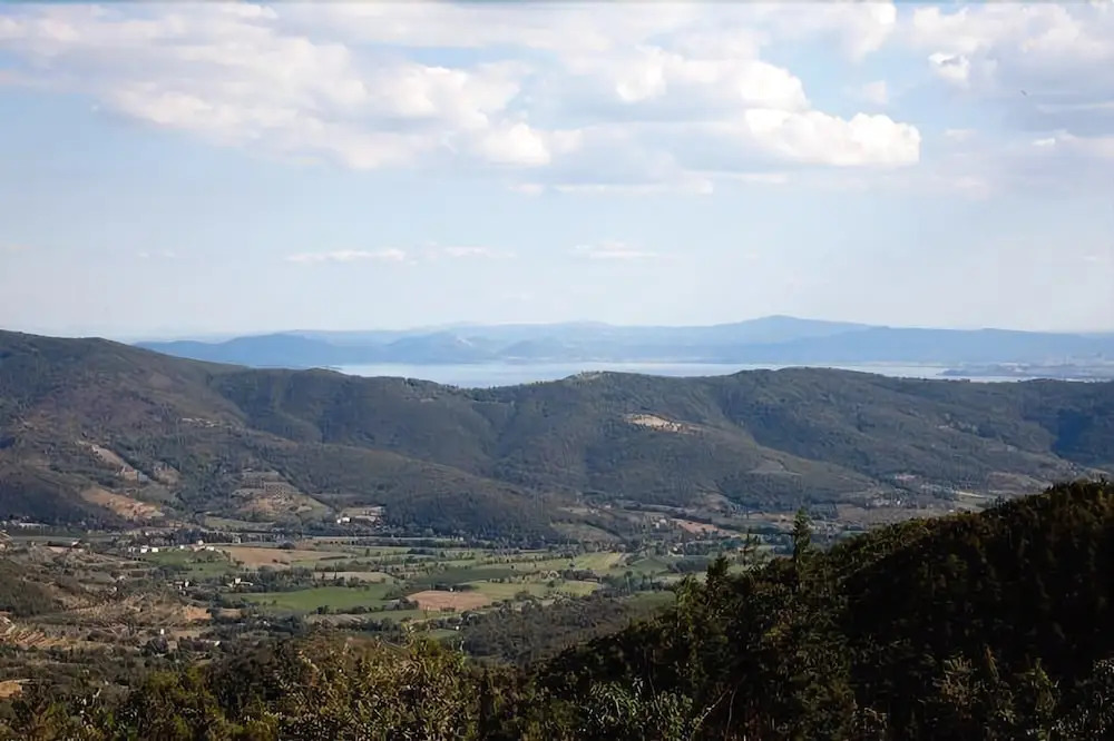 Il Salice