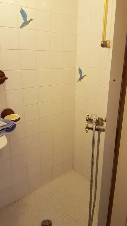 Dolphin's B&B