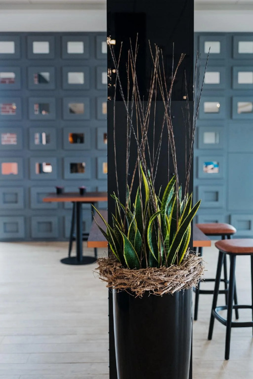 B&B HOTEL Zürich Airport
