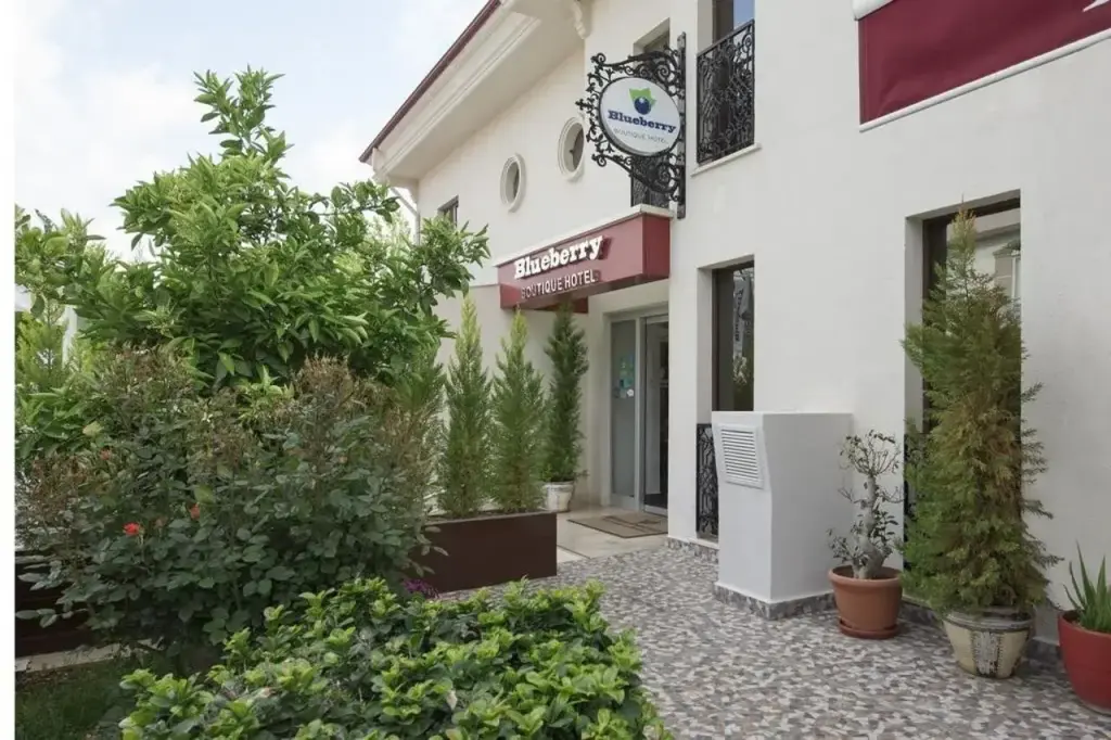 Blueberry Boutique Hotel