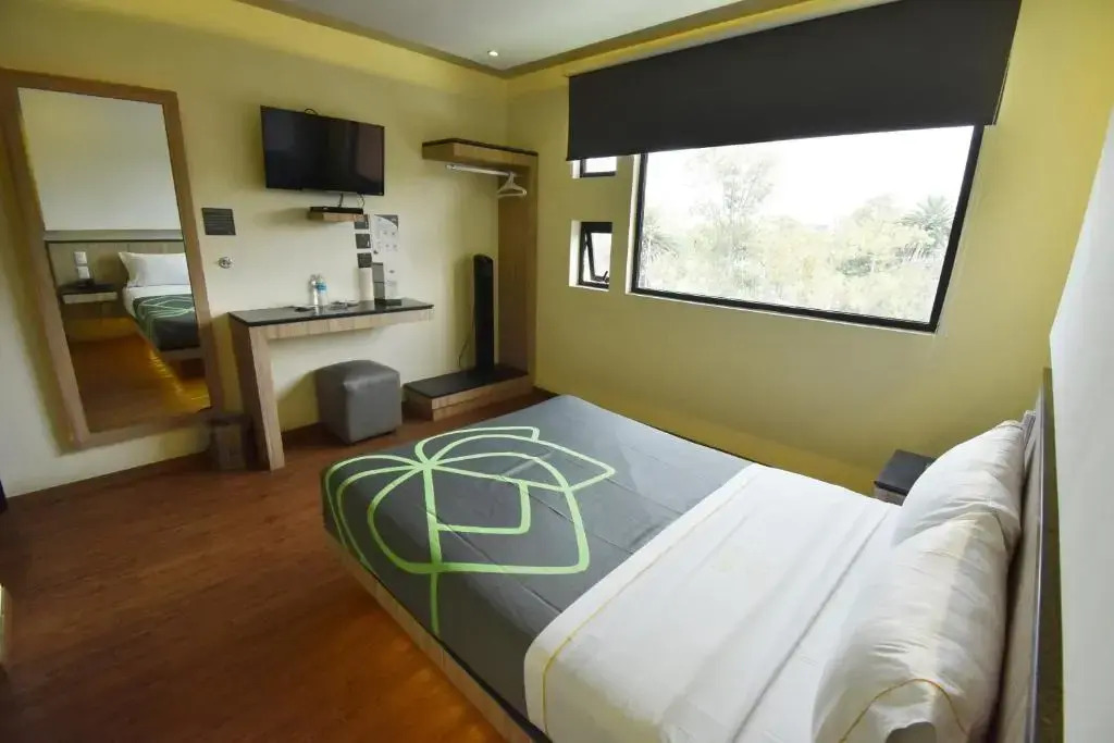 Hotel Lirio