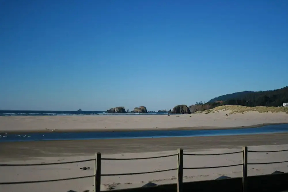 The Waves
