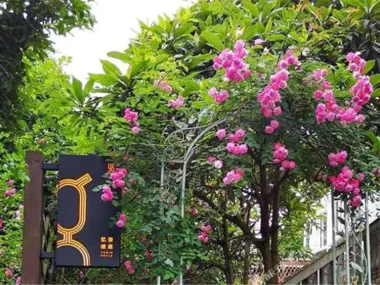 Hangzhou Dreamweaver Island B&B