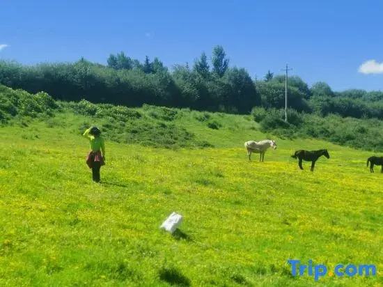 Songpan Frontier Yunding Homestay Campsite