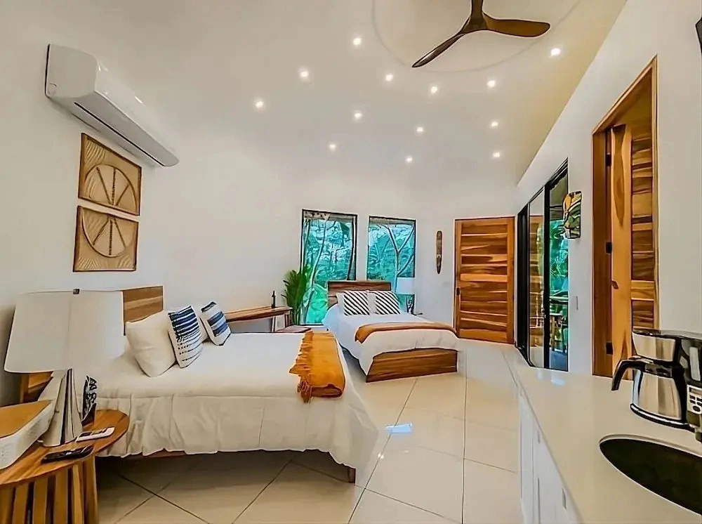 Arenal Palms
