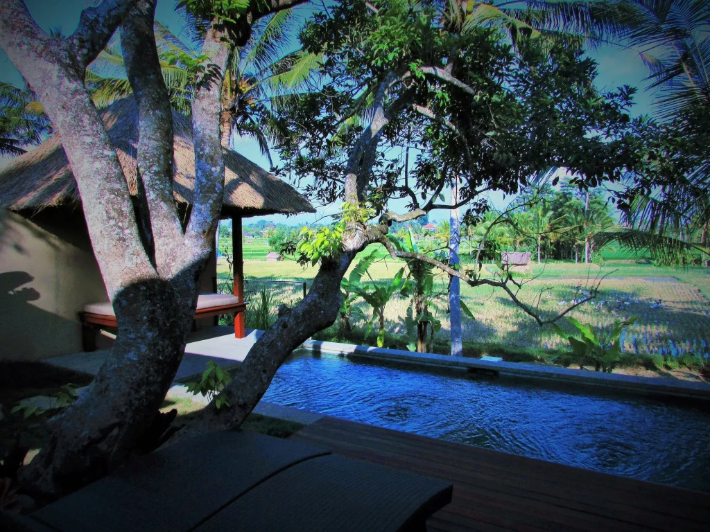 Temuku Ubud Villas