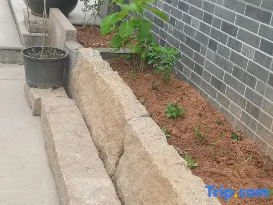 Wangshan Yimu Courtyard