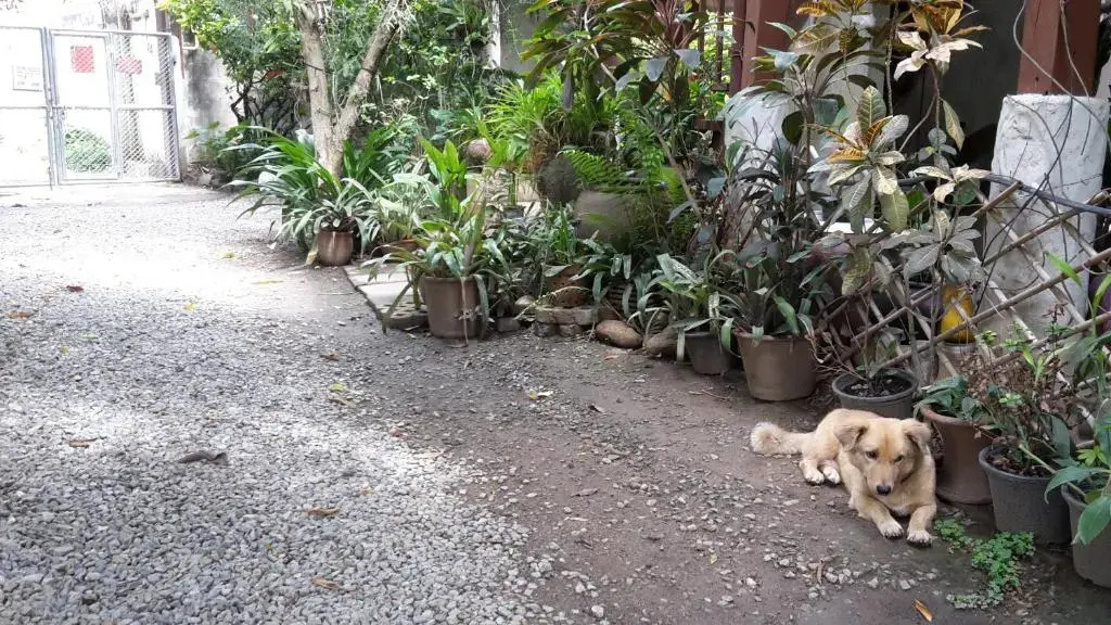 Baan Songjum