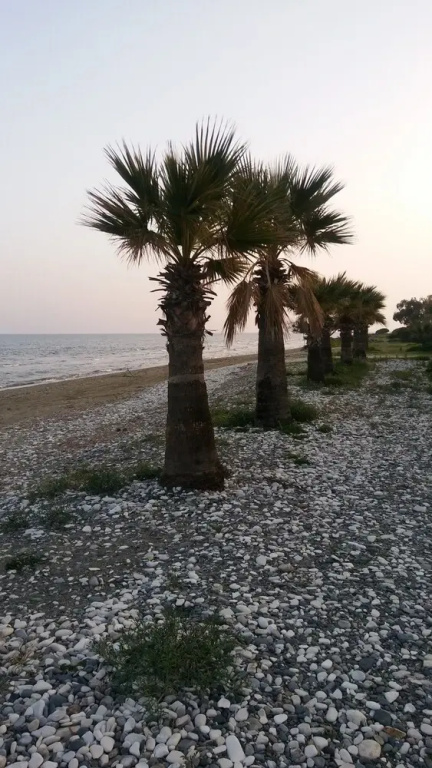 Il Mare Beach House