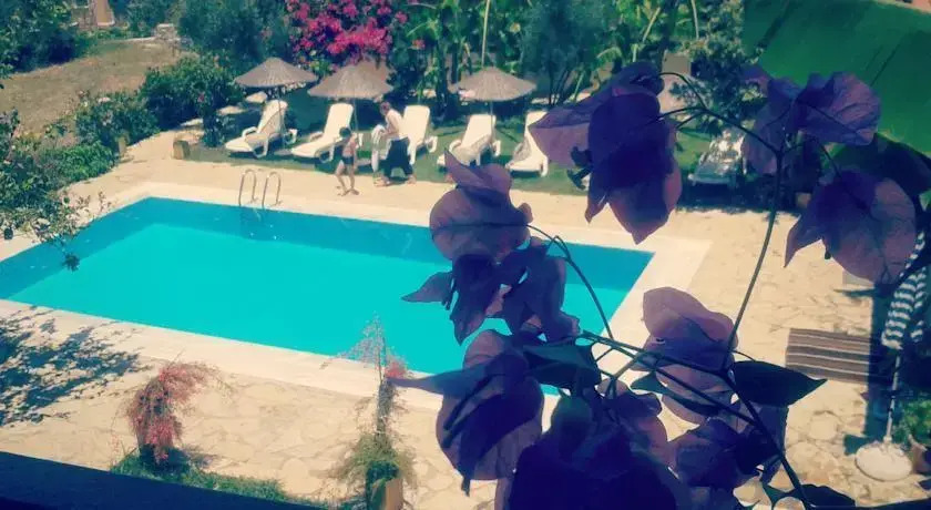 Doga Pension