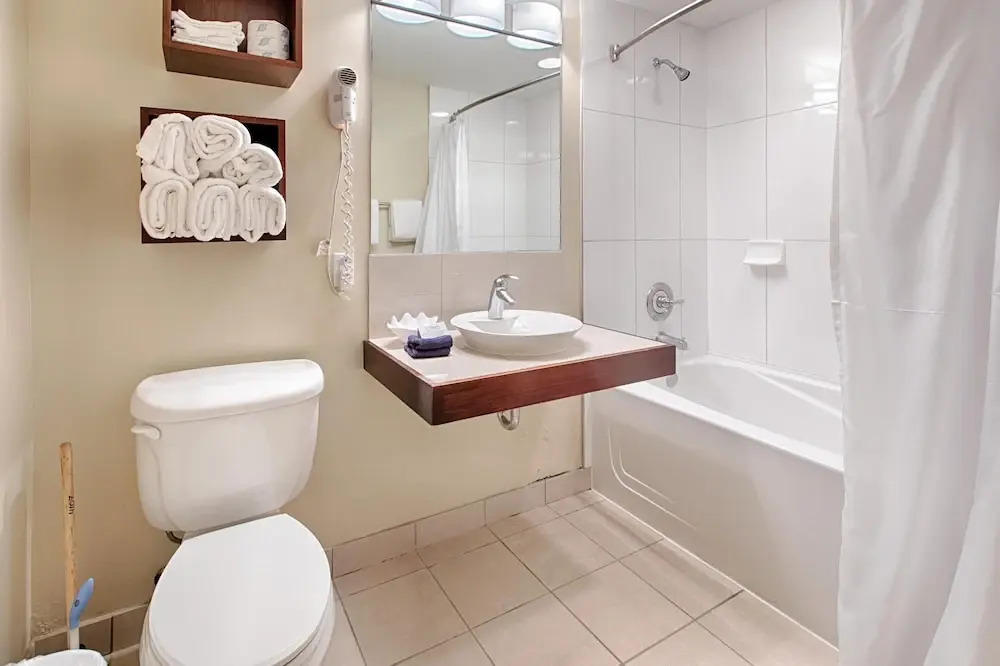 Bahia 4107 Studio