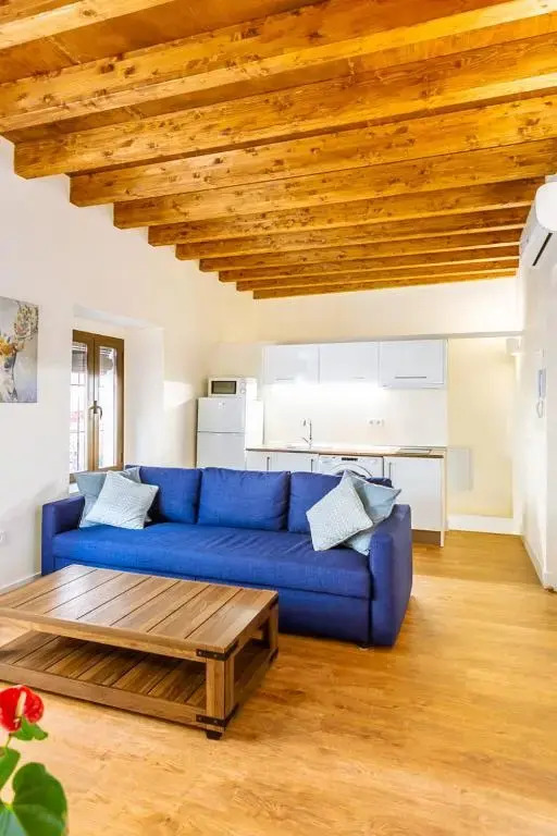 Stunning apartment in central Seville