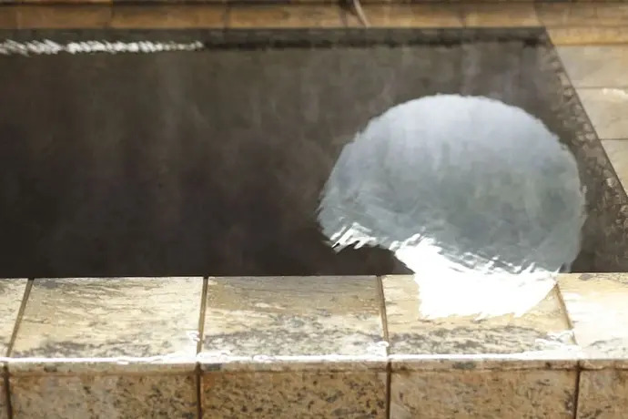 Ryokan Onuma