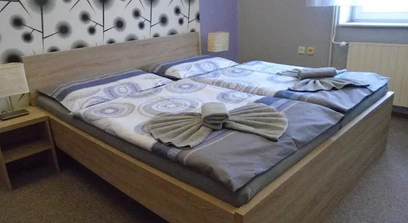 Hotel & SPA centrum PALMIRA