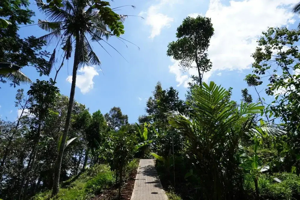 Purwa Ijen