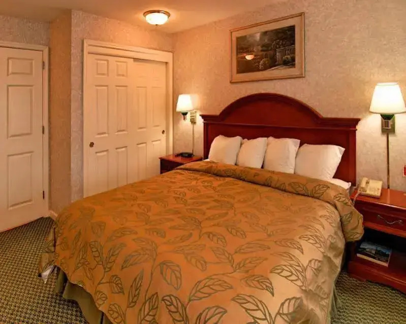 Ramada Limited San Francisco Airport West San Brun