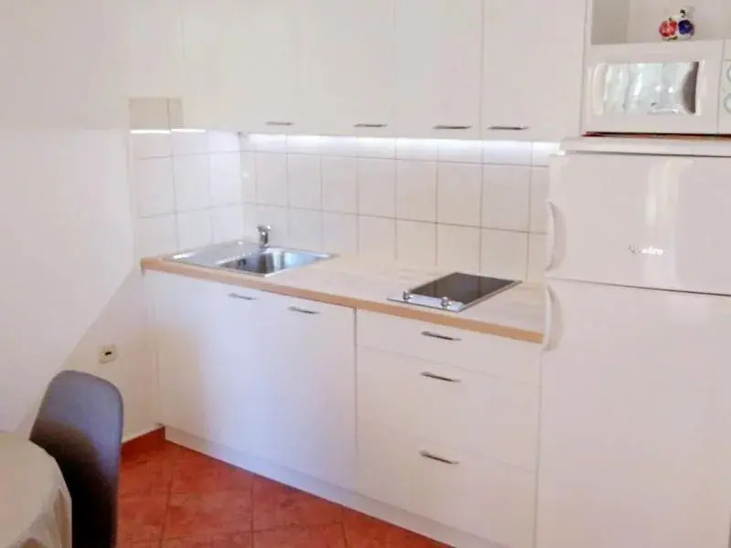 Apartments Predrag