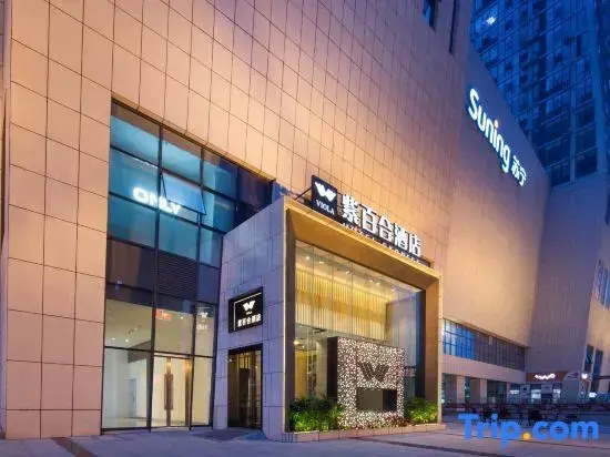 Viola Hotel Express