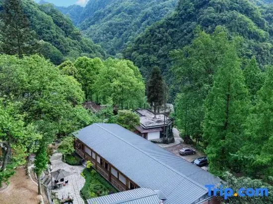 Dujiang Emerald Linyashe Homestay (Qingchengshan Branch)