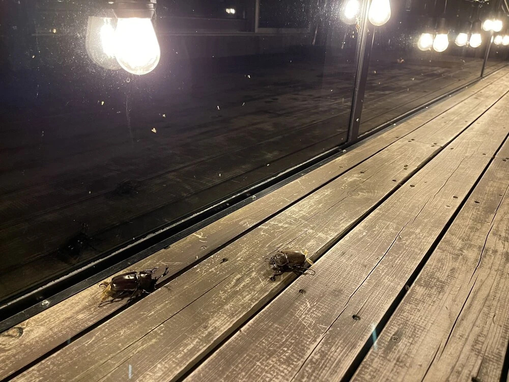 KandoStay 伊豆稲取テラス