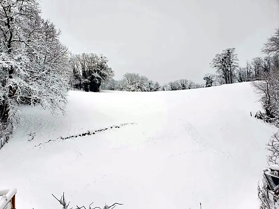 Le Lodge du Pichat
