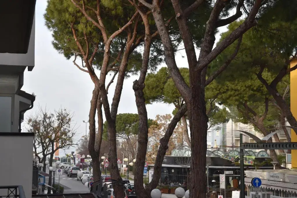 Appartamenti Universal