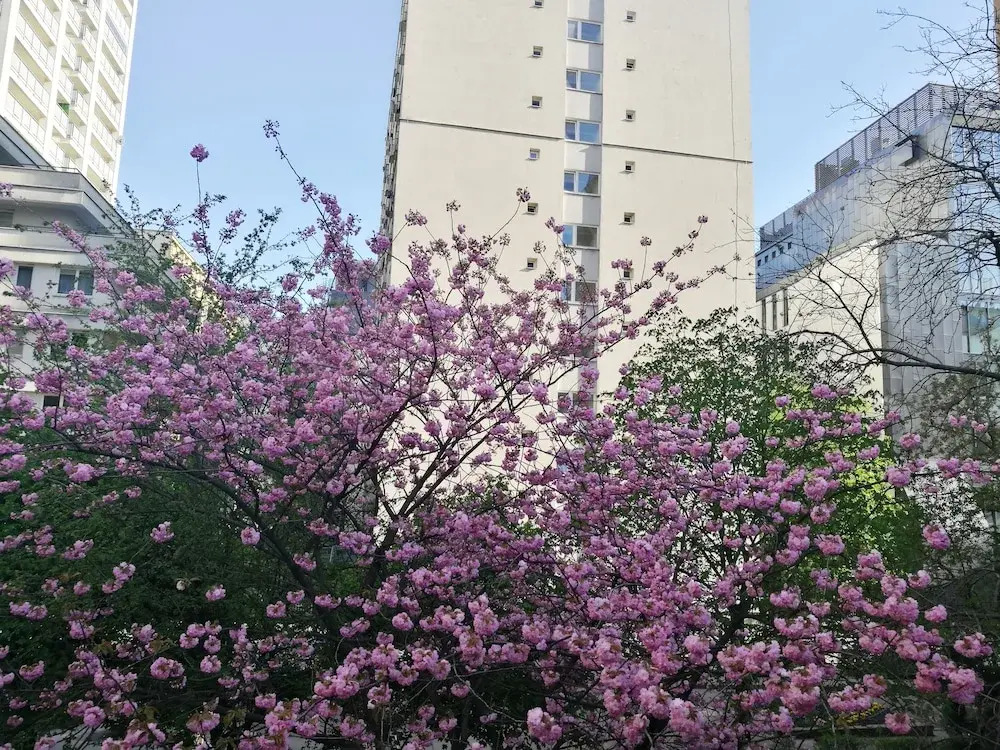Injoy Hostel