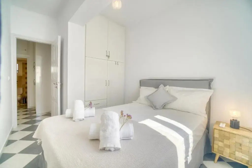 Stylish, Cozy 2-BDR Flat in Andros Town