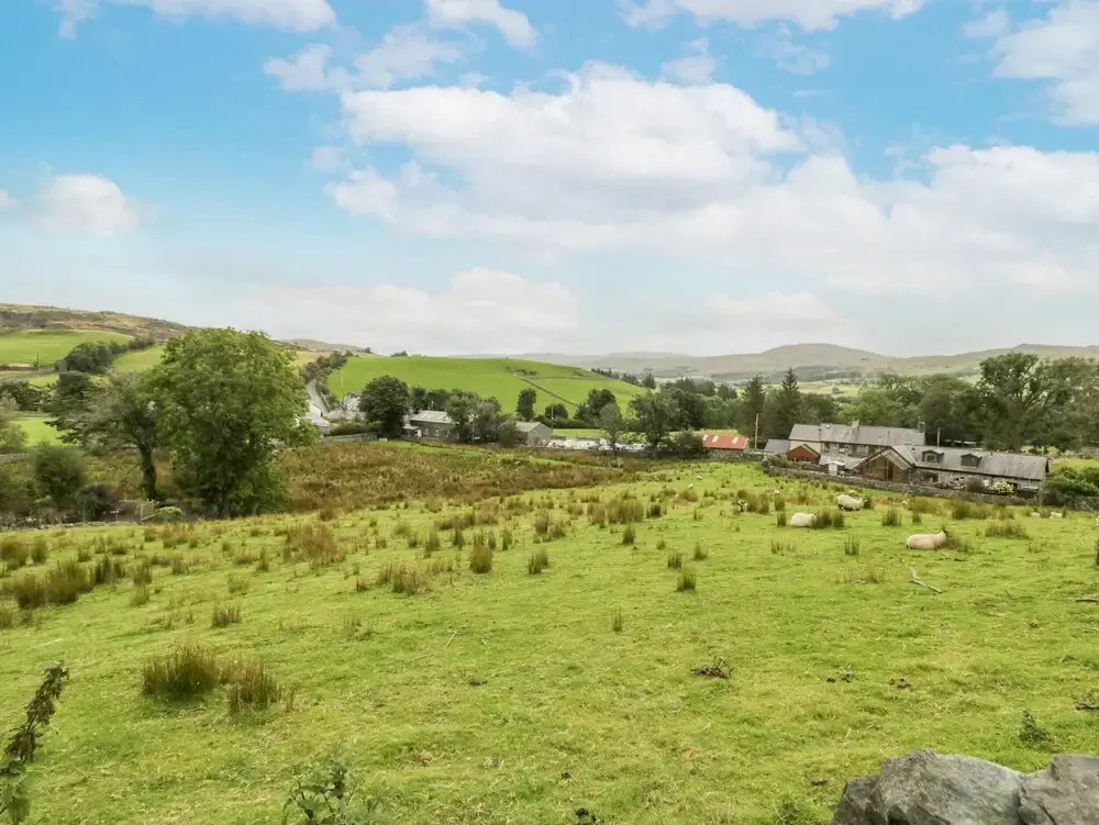 Plas Arenig
