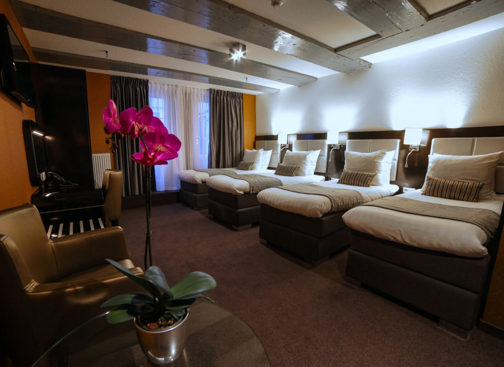Hotel Mansion