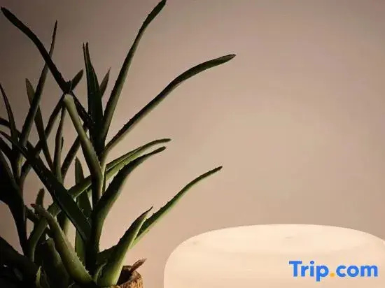 Tingjian B&B