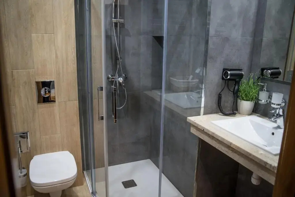 Hotel Sukcesor