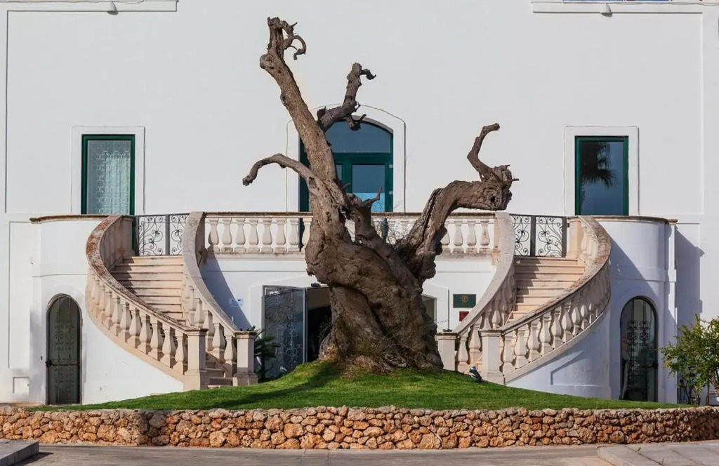 Masseria Relais del Cardinale