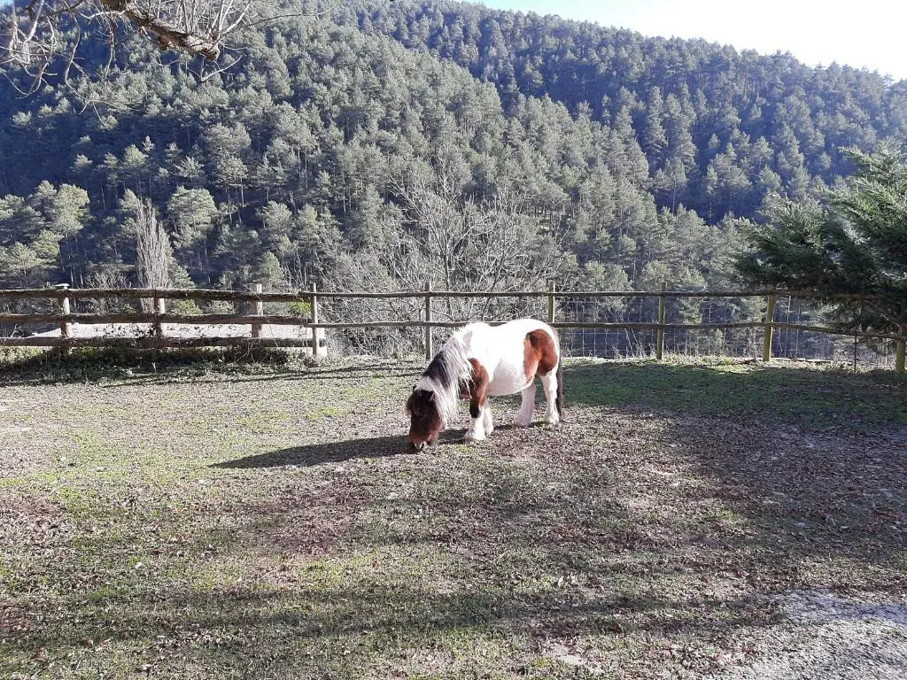 Casa Rural Mas Pujol