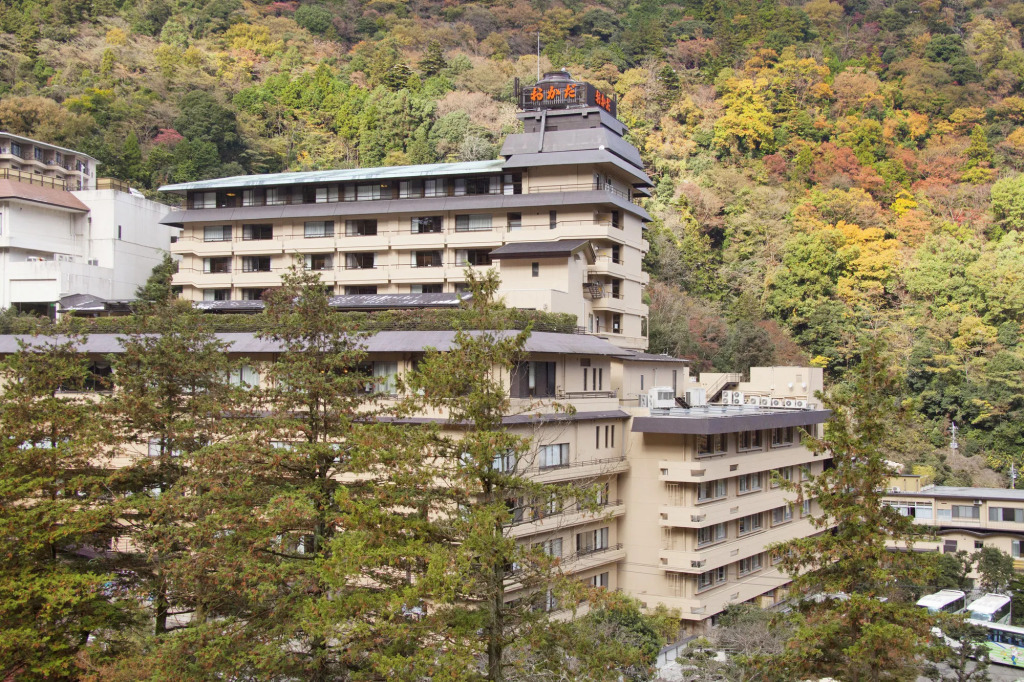 Hotel Okada